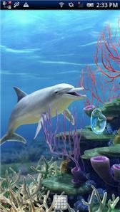 download Dolphin CoralReef Free apk